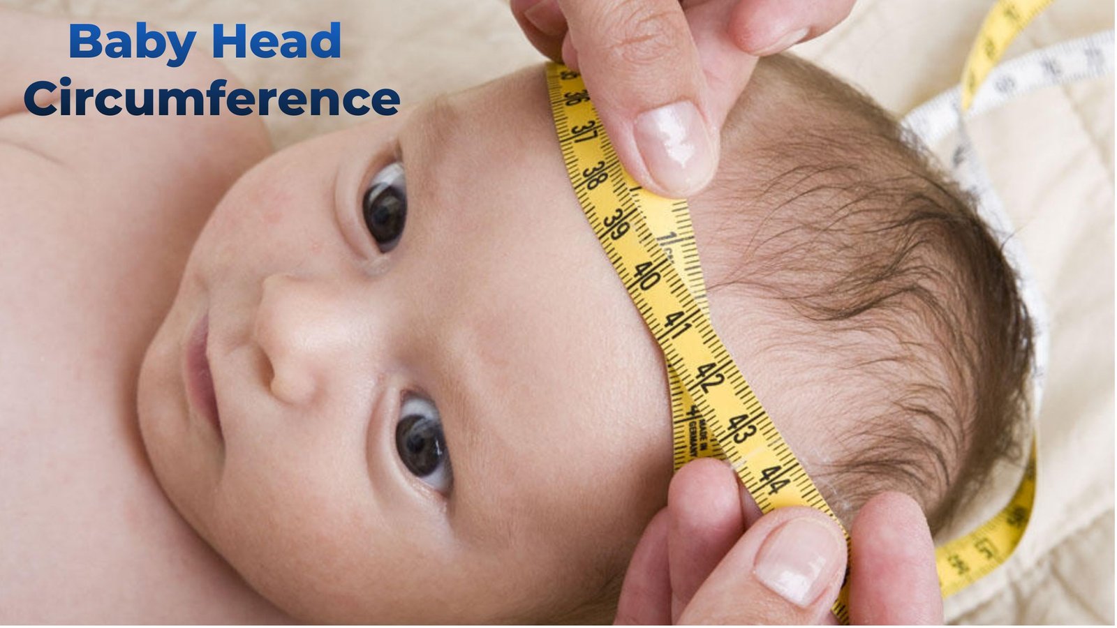 Baby Head Circumference