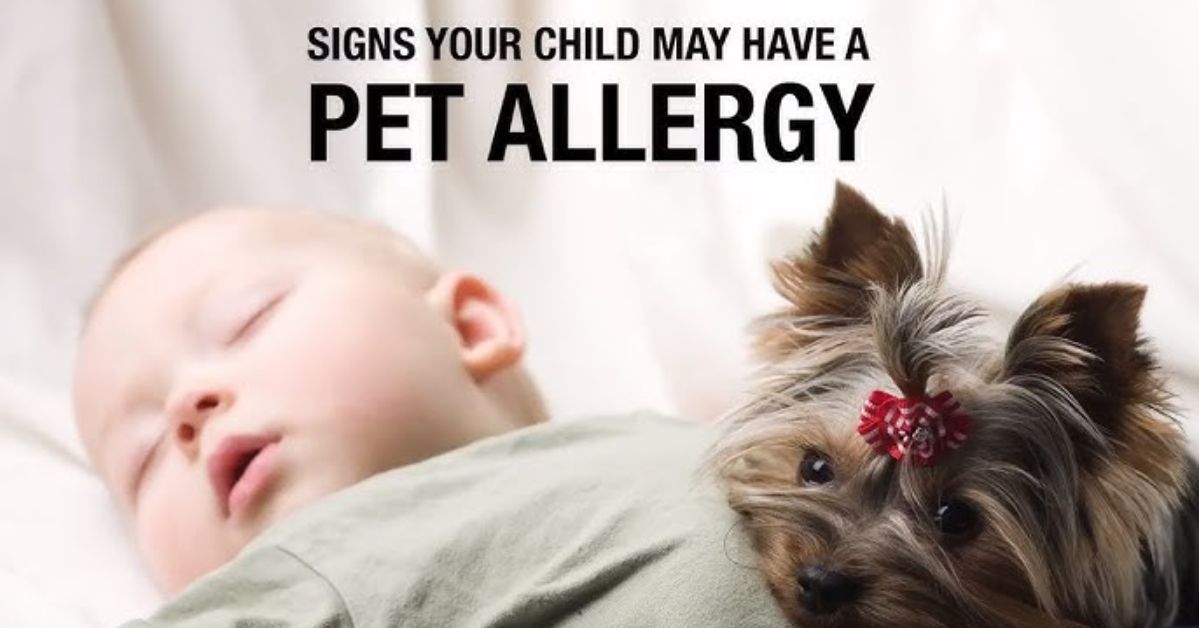 How to Tell If Your Baby Is Allergic to Pets: Symptoms by Age