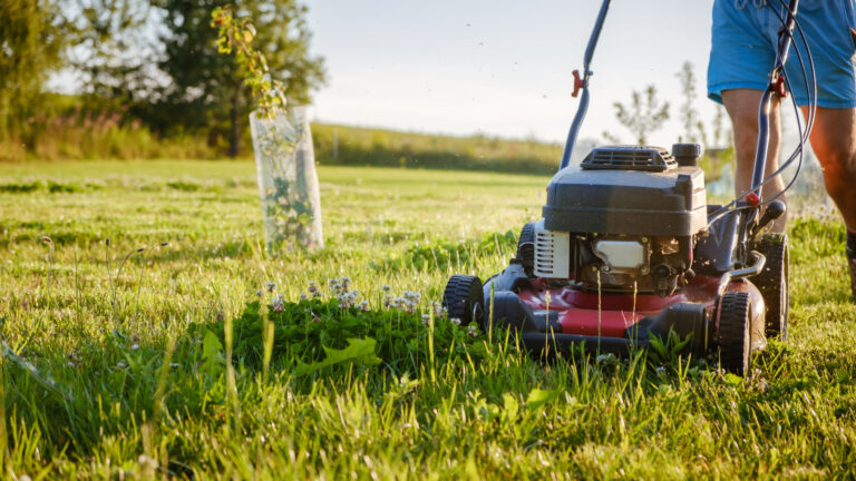7 Good Reasons Why You Should Replace Your Gas-Powered Lawn Mower With An Electric One
