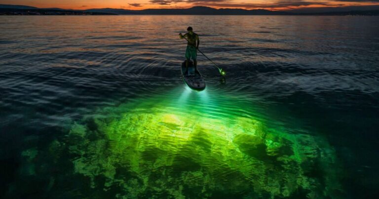 90,000-lumen SUP light reveals underwater world