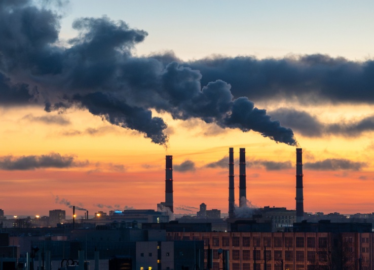 Air Pollution Fertility Risks for Future Generations