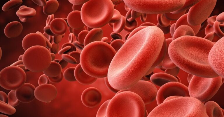 Blood type B linked to higher type 2 diabetes risk