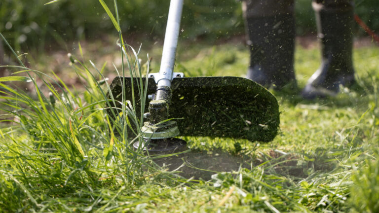 Can A Weed Eater Replace A Lawn Mower For A Small Yard?
