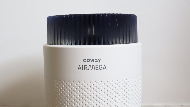 Coway Airmega 100 - close-up of top including brand logo