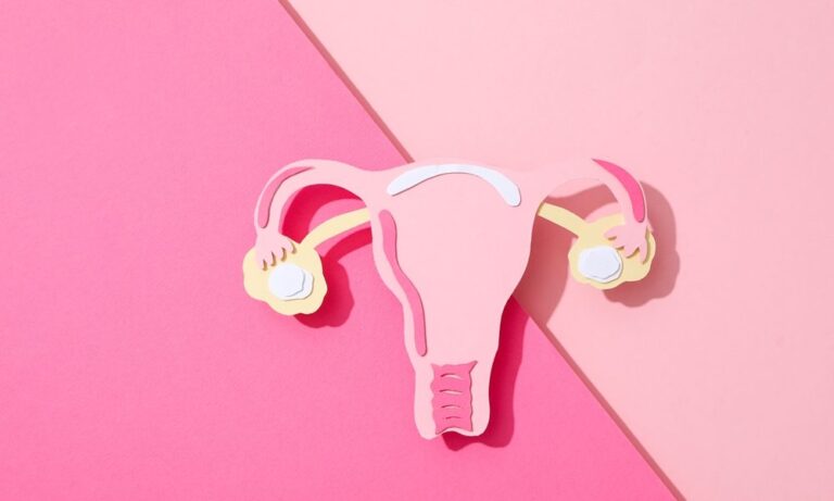 FemTech World