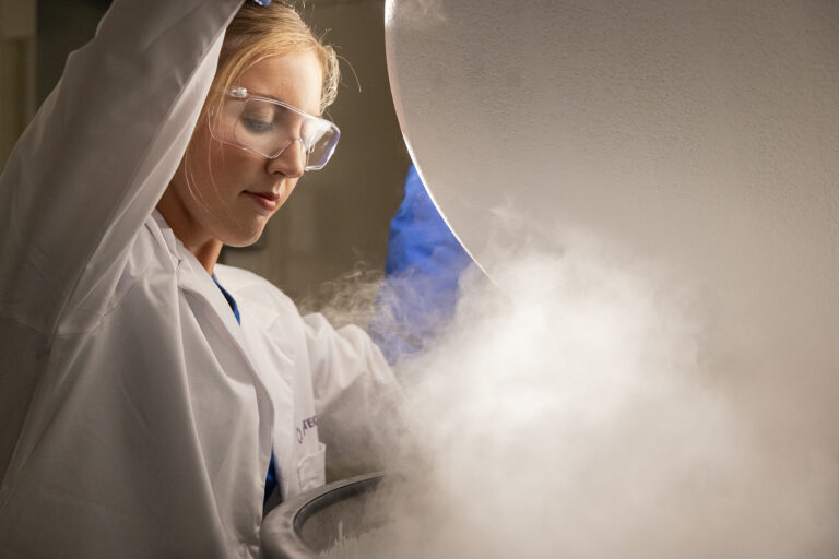 Where Are Frozen Eggs and Embryos Stored