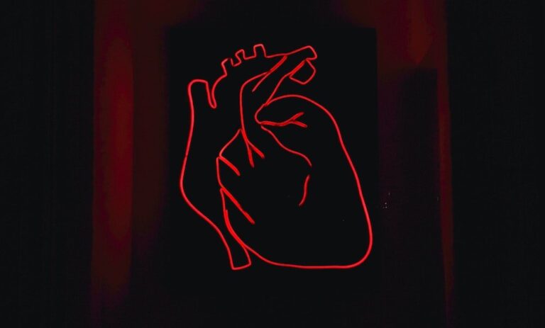 $5M Research Initiative Targets Gaps in Women’s Heart and Brain Health