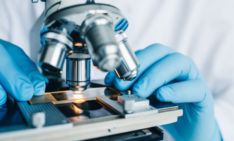 Scientists Map Hidden Machinery Inside Sperm