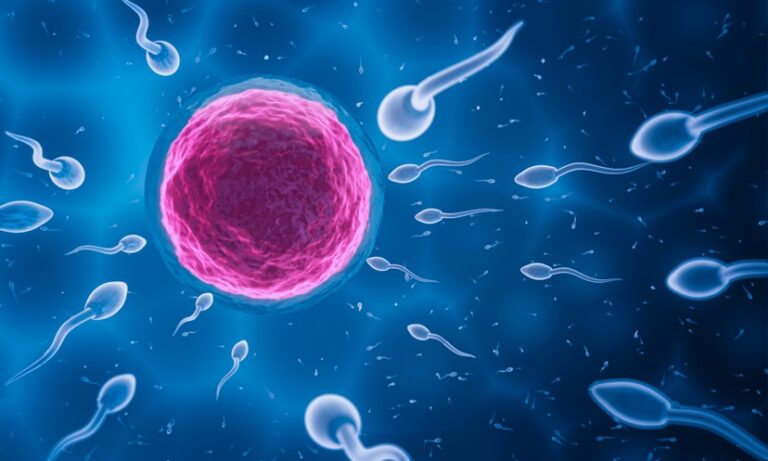 Specific Mutations May Link to Male Infertility